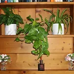 La Belle Vue Appartement